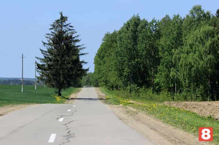 8-doroga.jpg
